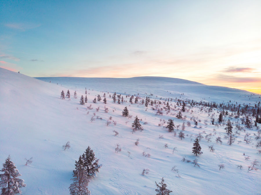Snowy fells and scattered trees in Lapland at sunset light